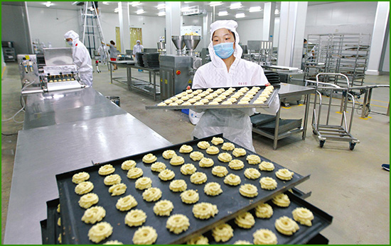 食品加工行业虫害防治方案