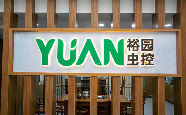 当白蚁来来去去
